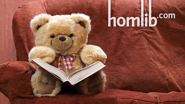 Онлайн библиотека homlib.com